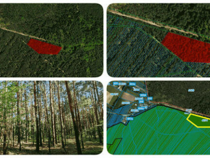 Działka leśna na sprzedaż Wola Zarczycka k. Leżajska