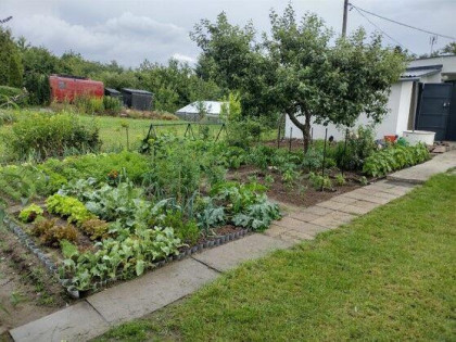 Działka ROD z domkiem 2026 – Aleksandrów