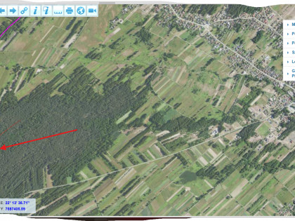Dwie Działki leśne na sprzedaż Wola Zarczycka k. Leżajska