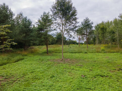 Olsztynek GM. - wieś Elgnówko -blisko do jeziora+ War Zabud.