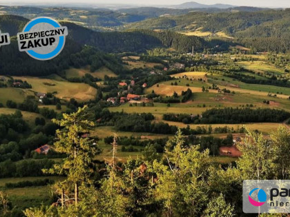 Działka Świerki Granicznik ul.  