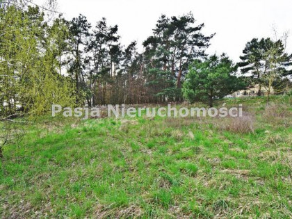 Działka rolna Płock Borowiczki-Parcele