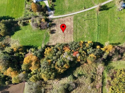 Działka z kawałkiem własnego lasu - Trzetrzewina