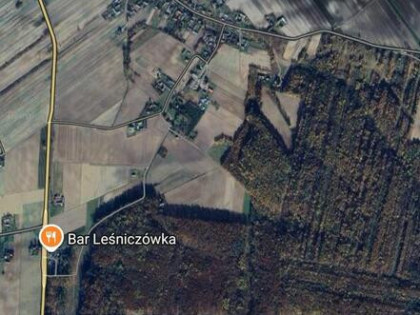 Stary Las bukowo-grabowo-dębowy o pow. 1,13ha gm. Łabunie