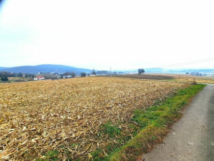 Działka widokowa 41,89 ar z warunkami zabudowy Srogów Grn.