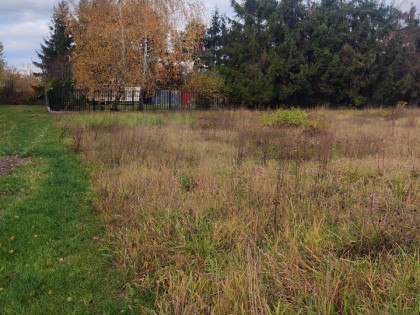 Działka Stara Iwiczna