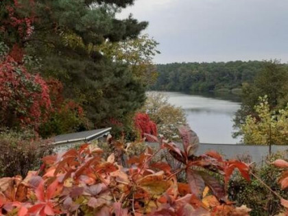 Działka budowlana 1015 m2, blisko jeziora, obok Chodcza