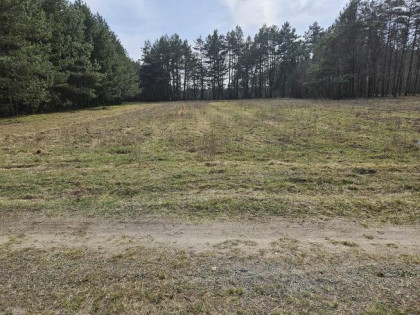 Sprzedam działkę rolną w Jeżowie 1,55 ha gm. Końskie