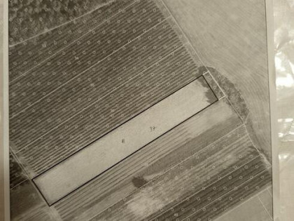 Działka rolna. Pawłów.91ar.