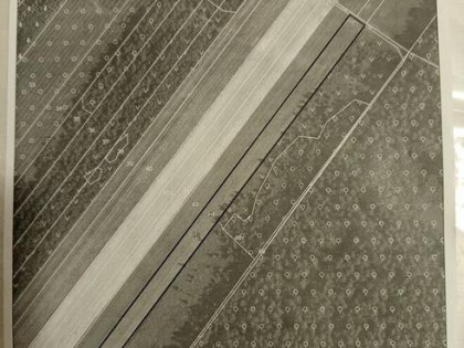 Działka rolna. Kolecin.84ar.