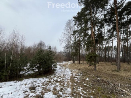 Działka z warunkami zabudowy w Kopaninie