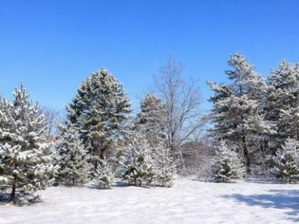 Działka budowlana Warszawa Wesoła