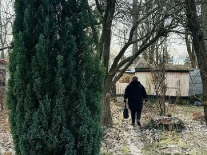 Działka ROD 308 m2 z potencjałem – Poznań, ul. Wspólna