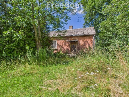 Śniadówka – piękne siedlisko do adaptacji