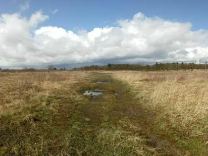 Logistyka, produkcja, usługi