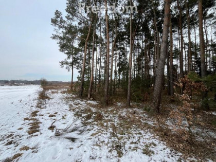 Działka usługowa w Lubiczu Dolnym