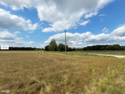 Działka rekreacyjna Kluczewsko Stanowiska