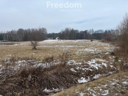 Działka usługowa w Lubiczu Dolnym