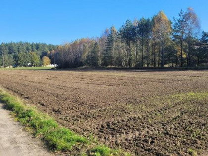 Działka budowlana Donimierz gm. Szemud, Piekiełko