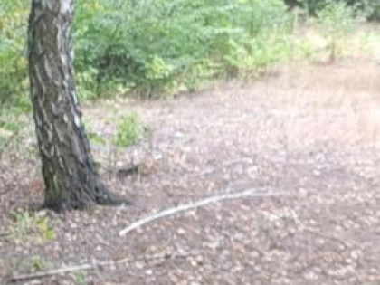 Działka 4300m w Gawłowie gm Sochaczew