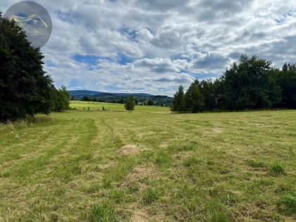 Działka Michałkowa gm. Walim