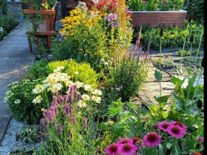 Działka rekreacyjna