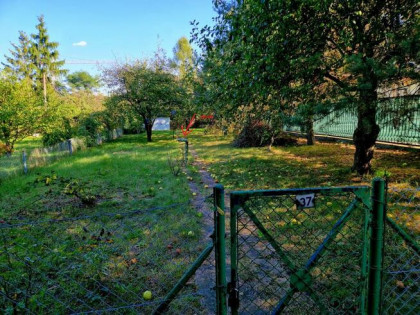 Sprzedam: Ogródek Działkowy w ROD „Bajki”, Borowska, Wrocław