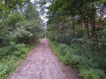 Działka leśna rolna na sprzedaż