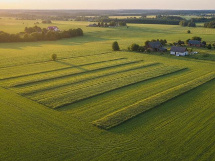 Działka budowlana Sarnów gm. Stanin Sarnów