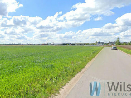 Działka usługowa Sokołów gm. Michałowice, Rodzinna