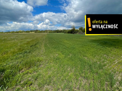 Działka Maciejowice ul.  