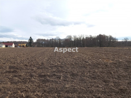 Działka Pielgrzymowice