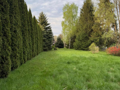 Działka budowlana Prace Małe gm. Tarczyn,