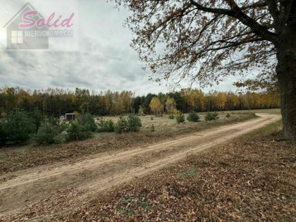 Urokliwa działka z możliwością zabudowy w otoczeniu lasów