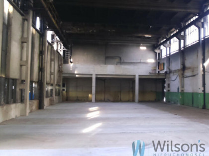 Lokal użytkowy Warszawa gm. Praga-Północ Praga,-Północ, Jagiellońska