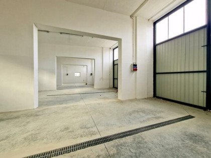 Lokal użytkowy Koszalin