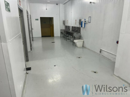 Lokal użytkowy Nowe Lipiny gm. Wołomin, Szosa Jadowska