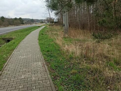 4 działki rolne oraz leśna. Łączna powierzchnia 3116 m2