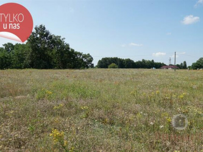 Dwie działki przy ul. Stokrotkowej, Deszczno