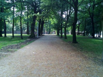 Sprzedam mieszkanie Mysłowice Wysoki parter