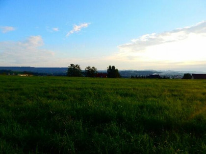 Syndyk sprzeda widokowe działki w Strzyżowie