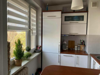 Mieszkanie trzypokojowe plus kuchnia i piwnica