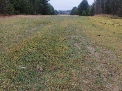 Sprzedam działkę rolną w Jeżowie 2,87 ha gm. Końskie