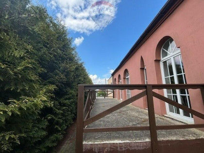 Agroturystyka z mieszkaniem koło Sztumu