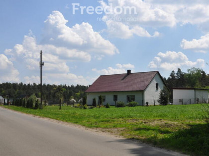 Dom z działką prawie 1,5 hektara