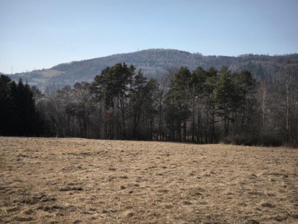 Działka rolna Cisiec gm. Węgierska Górka,