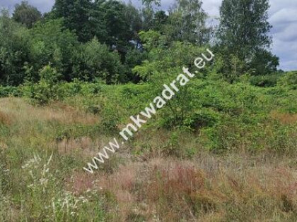 ⭐⭐⭐⭐⭐ Super oferta Media Droga gminna WZ ⭐⭐⭐⭐⭐