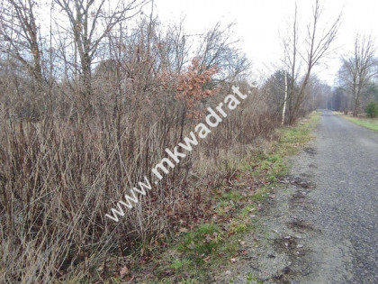 ⭐⭐⭐⭐  Działka Budowlana 4851 m Budy Grzybek ⭐⭐⭐⭐