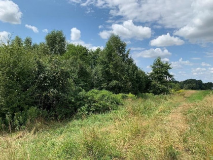 Konkurs ofert - udział 1/5