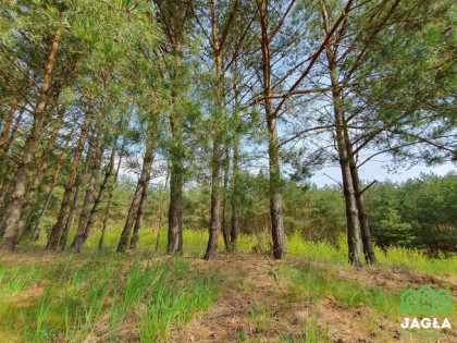 Działka budowlana Nowy Jasiniec gm. Koronowo